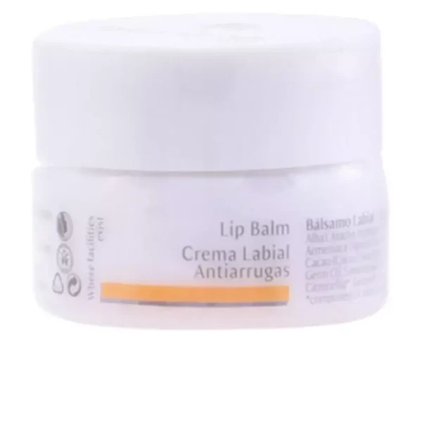 Dr Hauschka Lip Balm Anti-wrinkle 4.5 ml