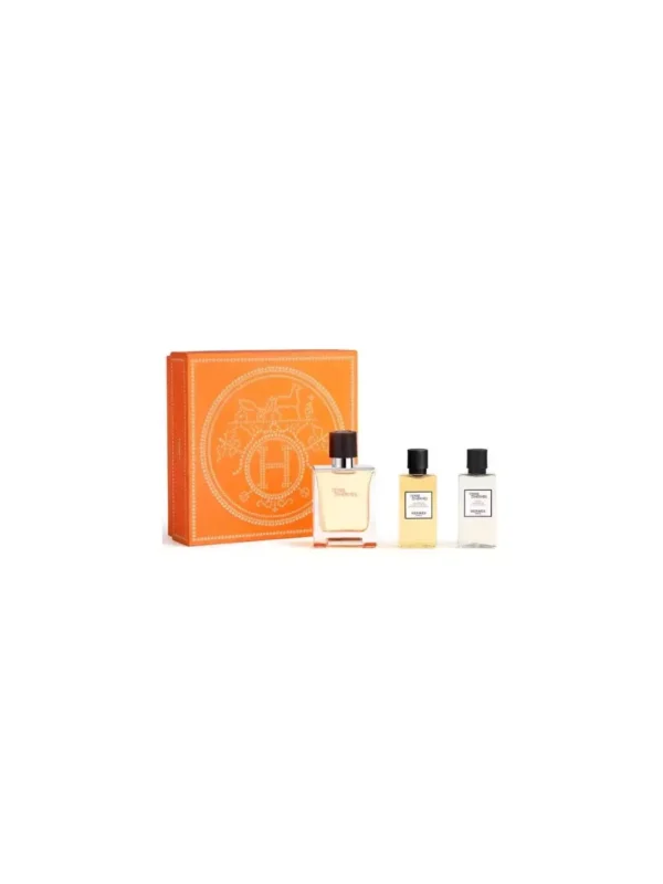 Hermès Terre D'hermes e T 50 Spray Gel40 Ash40