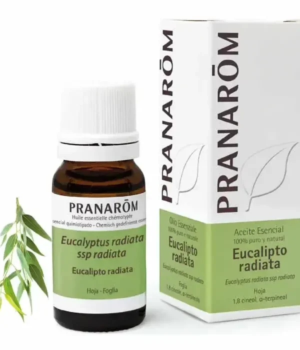 0_5420008502569_1-optimized Pranarom Eucalyptus Radiata Essential Oil 10ml