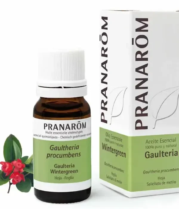 0_5420008502811-optimized Pranarom Wintergreen Leaf Essential Oil 10ml