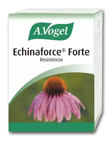 Vogel Echinaforce Forte 30 Comp