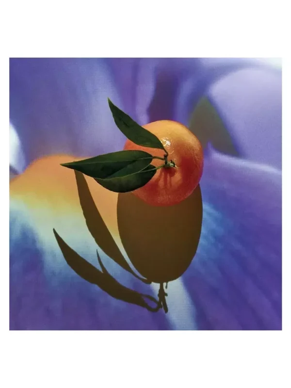 Loewe Solo Elixir 50 Vap M